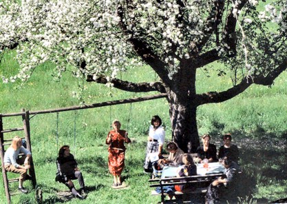 Apfelbaum
