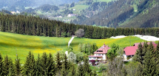 Panorama