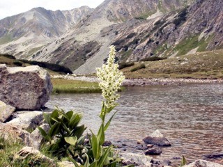 Bergsee